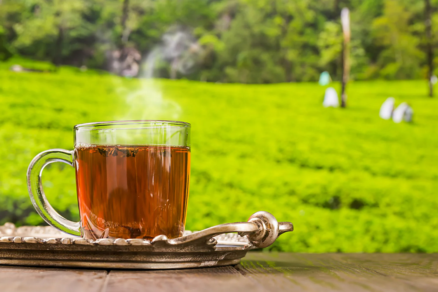 Tea Glass Cup Wooden Table Tea Plantations Background_1500x