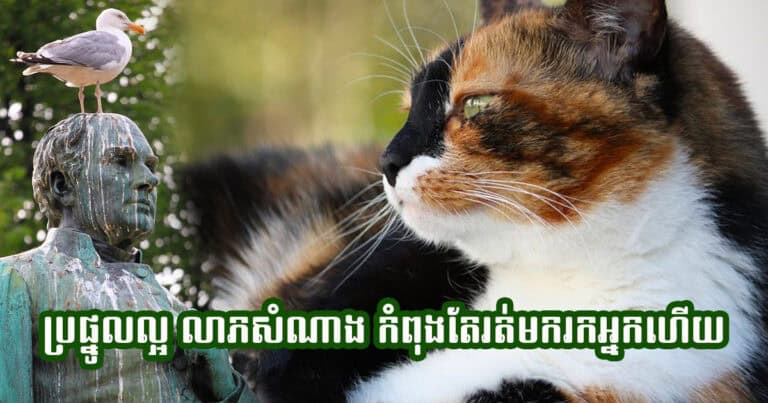 ប្រផ្នូលល្អ! ប្រសិនបើអ្នកប្រទះឃើញទិដ្ឋភាពទាំង៦នេះ បញ្ជាក់ថា សំណាងកំពុងតែចូលមករកអ្នកហើយ