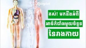 អ្នកមានដែរទេ? លក្ខណៈពិសេស ៧ យ៉ាងនៃរាងកាយ ដែលមានមនុស្សតិចណាស់ដែលមាន!